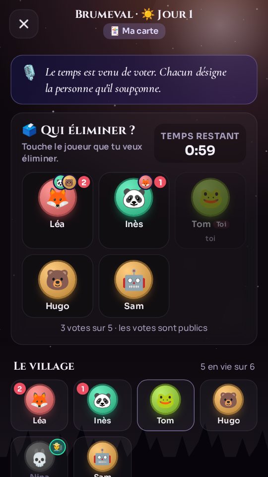 Vote du village